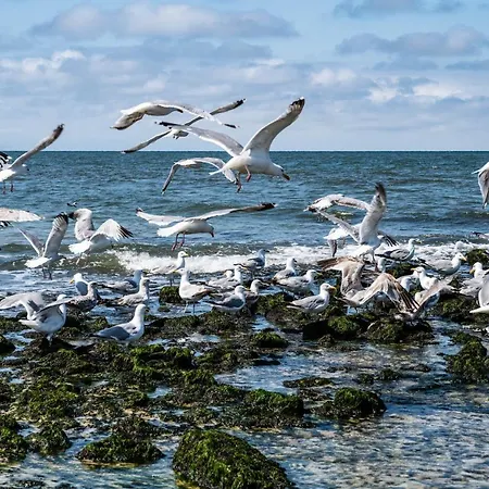 Hues De Karming Apartment Westerland