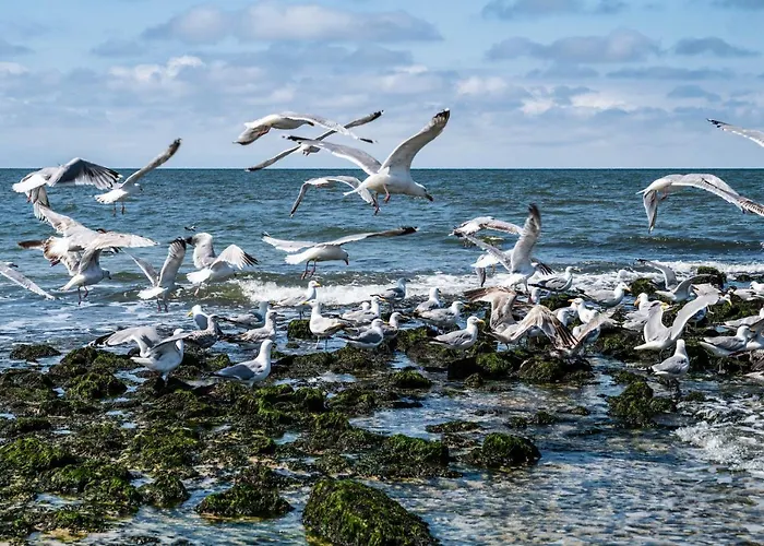 Hues De Karming Apartment Westerland